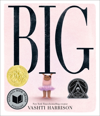 Big By Vashti Harrison Cover Image