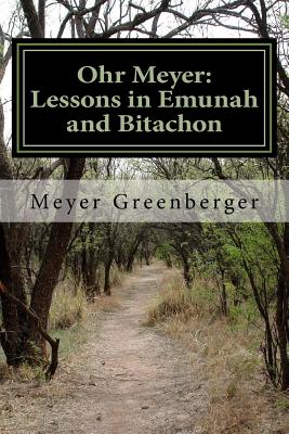 Ohr Meyer: Lessons in Emunah and Bitachon Cover Image