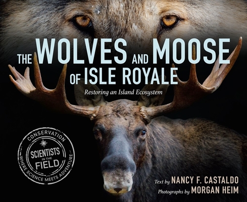 The Wolves and Moose of Isle Royale: Restoring an Island Ecosystem (Scientists in the Field) By Nancy F. Castaldo Cover Image