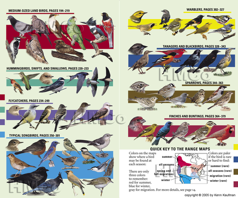 Kaufman Field Guide To Birds Of North America (Kaufman Field Guides) Cover Image