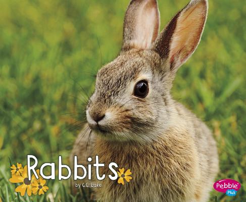 Rabbits (Woodland Wildlife) Cover Image