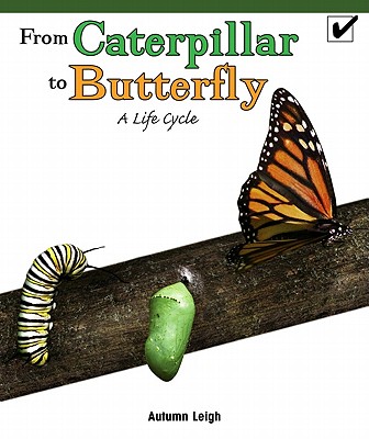 From Caterpillar to Butterfly: A Life Cycle (Real Life Readers) Cover Image