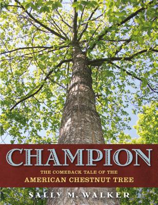 Champion: The Comeback Tale of the American Chestnut Tree Cover Image