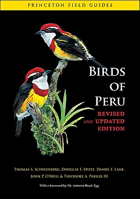 Birds of Peru (Princeton Field Guides #63) Cover Image