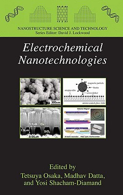 Electrochemical Nanotechnologies (Nanostructure Science and Technology) By Tetsuya Osaka (Editor), Madhav Datta (Editor), Yosi Shacham-Diamand (Editor) Cover Image
