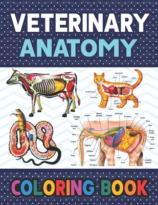 Veterinary Anatomy Coloring Book: Fun and Easy Veterinary Anatomy Coloring Book for Kids.Animal Anatomy and Veterinary Coloring Book.Dog Cat Horse Fro By Darkeylone Publication Cover Image