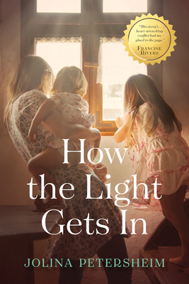 How the Light Gets in Cover Image