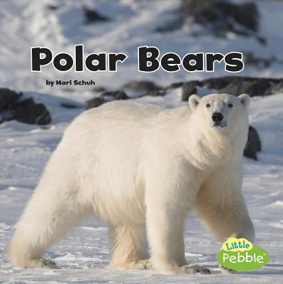 Polar Bears (Black and White Animals) By Mari Schuh Cover Image