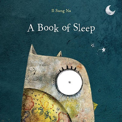 Cover for A Book of Sleep