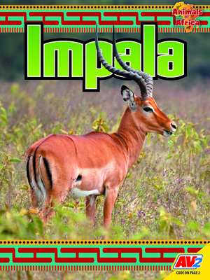 Impala (Animals of Africa) By Katie Gillespie Cover Image