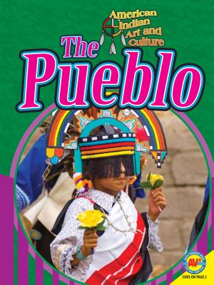 The Pueblo (American Indian Art and Culture)