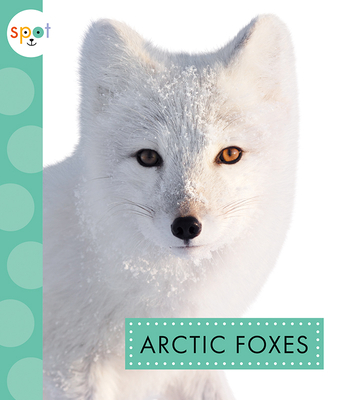 Arctic Foxes (Spot Arctic Animals) By Anastasia Suen Cover Image