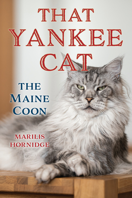 That Yankee Cat: The Maine Coon