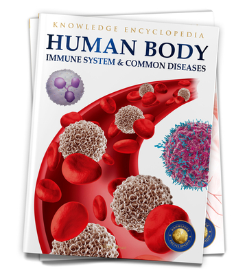 Human Body: Immune System And Common Diseases (Knowledge Encyclopedia For Children) By Wonder House Books Cover Image