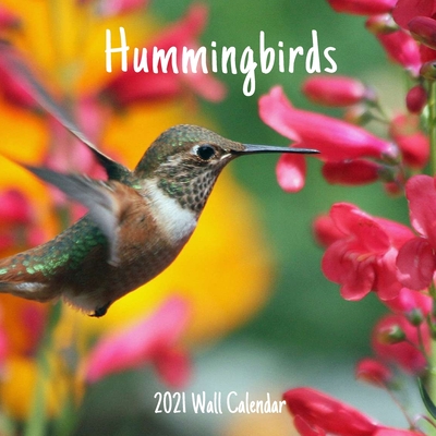 Hummingbirds 2021 Wall Calendar: Hummingbirds 2021 Calendar, 18 Months. By Wall Calendar 2021-2022 Cover Image
