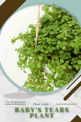 Baby's Tears plant: Prodigy Petal, Plant Guide By Petal Prodigy Cover Image