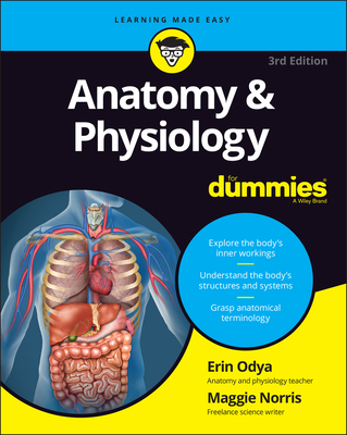 Anatomy & Physiology for Dummies (For Dummies (Lifestyle)) By Erin Odya, Maggie A. Norris Cover Image
