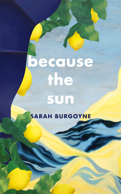 Cover for Because the Sun