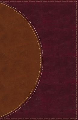 Amplified Reading Bible, Imitation Leather, Brown, Indexed: A Paragraph-Style Amplified Bible for a Smoother Reading Experience Cover Image