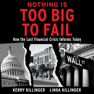 Nothing Is Too Big to Fail Lib/E: How the Last Financial Crisis Informs Today cover