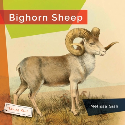 Bighorn Sheep Cover Image