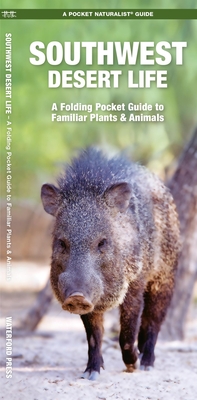 Southwestern Desert Life: A Folding Pocket Guide to Familiar Plants & Animals (Pocket Naturalist Guide) By James Kavanagh, Waterford Press, Raymond Leung (Illustrator) Cover Image