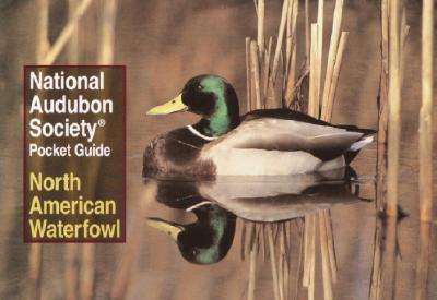 National Audubon Society Pocket Guide: North American Waterfowl (National Audubon Society Pocket Guides) Cover Image