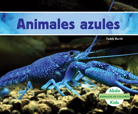 Animales Azules (Blue Animals) (Spanish Version) (Animales de Colores ( Animal Colors)) (Library Binding) | Books and Crannies