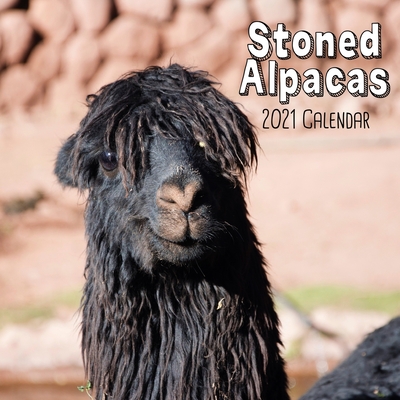 Stoned Alpacas 2021 Calendar: funny animals wall calendar By Charming Calendars Cover Image