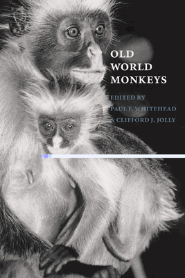 Old World Monkeys Vs. New World Monkeys