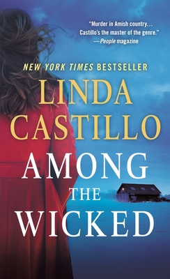Among the Wicked: A Kate Burkholder Novel Cover Image