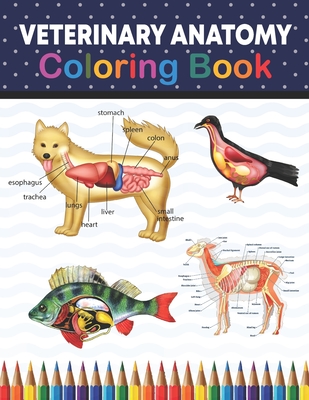 Veterinary Anatomy Coloring Book: Animal Anatomy and Veterinary Physiology Coloring  Book. The New Surprising Magnificent Learning Structure For Veteri  (Paperback) | Buxton Village Books