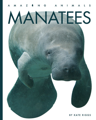Manatees (Amazing Animals) (Paperback) | Buxton Village Books