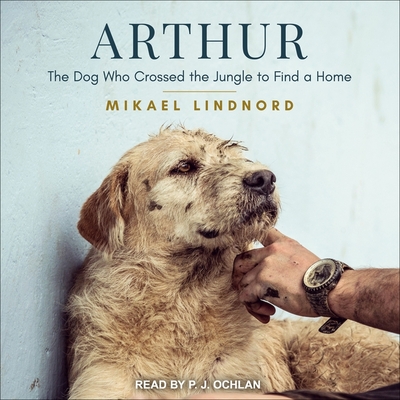 Arthur: The Dog Who Crossed the Jungle to Find a Home Cover Image