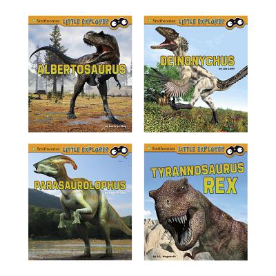 Little Paleontologist By Kathryn Clay, Joe Levit Cover Image