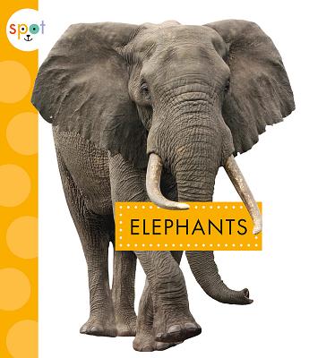Elephants (Spot African Animals) By Mary Ellen Klukow Cover Image