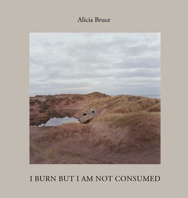 I Burn But Am Not Consumed Cover Image