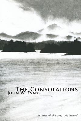 Cover for The Consolations