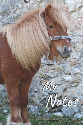 My notes: Pony Shetland Notebook, Horse - Size 6