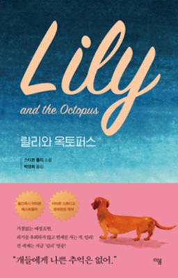 Lily and the Octopus By Steven Rowley Cover Image