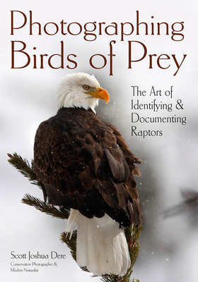 Photographing Birds of Prey: The Art of Identifying & Documenting Raptors