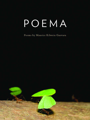 POEMA (Camino del Sol ) By Maurice Kilwein Guevara Cover Image