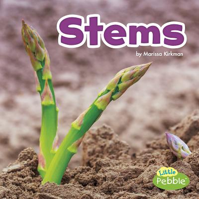 Stems (Plant Parts) By Marissa Kirkman Cover Image