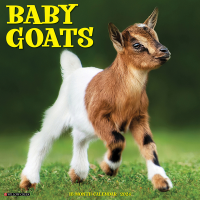 Baby Goats 2024 12 X 12 Wall Calendar By Willow Creek Press Cover Image
