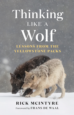 Thinking Like a Wolf: Lessons from the Yellowstone Packs Cover Image