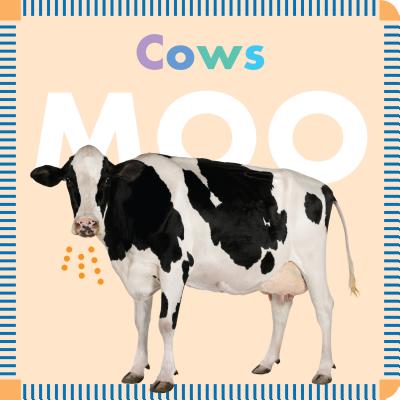 Cows Moo By Rebecca Glaser Cover Image