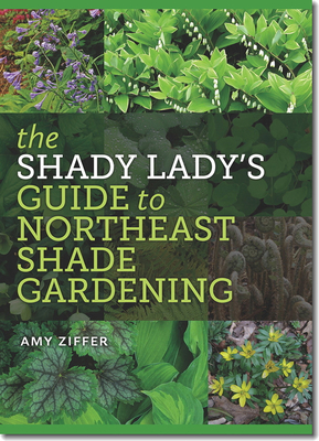 The Shady Lady’s Guide to Northeast Shade Gardening