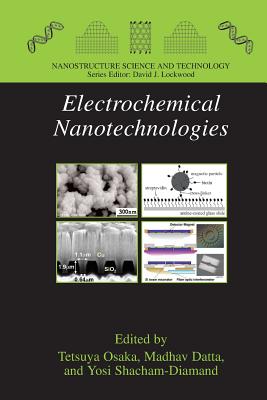 Electrochemical Nanotechnologies (Nanostructure Science and Technology) By Tetsuya Osaka (Editor), Madhav Datta (Editor), Yosi Shacham-Diamand (Editor) Cover Image