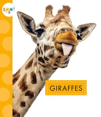Giraffes (Spot African Animals) Cover Image