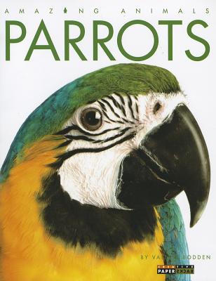 Amazing Animals: Parrots (Paperback) | Books on B